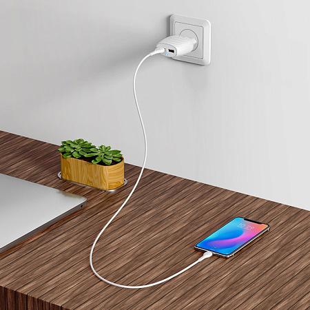 Сетевое зарядное устройство, 2 USB 2.4A (C78A), HOCO, Micro, белый