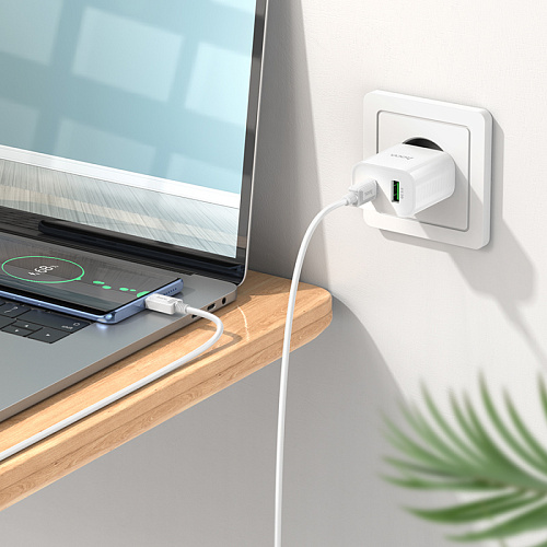 Сетевое зарядное устройство, 1 PD 20W + 1 USB 3.0 QC (C80A Plus), HOCO, Type-C to Type-C, белый