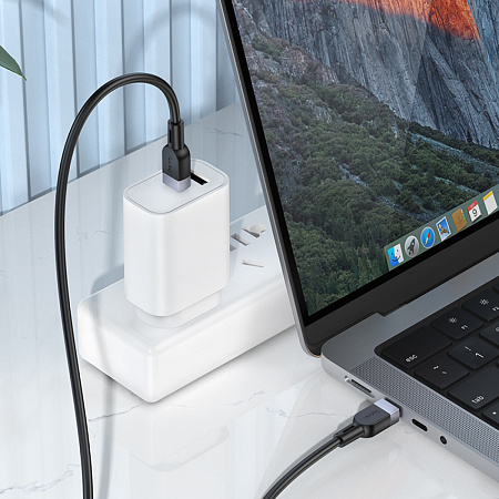 Кабель Type-C на Type-C, HOCO, X109, силиконовый, 2м, 60W, черный