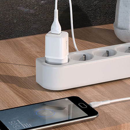 Сетевое зарядное устройство, 2 USB 2.4A 12W (N8), HOCO, Micro, Умная зарядка, белый