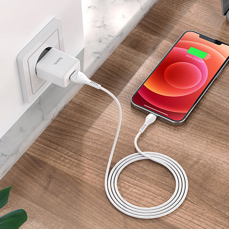 Сетевое зарядное устройство, 1 USB 2.1A (N9), HOCO, Lightning, Fast Charge, Безопасный сертификат, белый