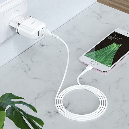 Сетевое зарядное устройство, 2 USB 2.4A 12W (N4), HOCO, Type-C, Умная зарядка, белый