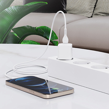 Сетевое зарядное устройство, 1 PD 20W + 1 USB 3.0 QC (N10), HOCO, Type-C to Lightning, mini, Умная зарядка, белый