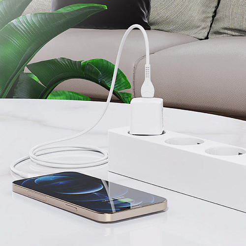 Сетевое зарядное устройство, 1 PD 20W + 1 USB 3.0 QC (N10), HOCO, Type-C to Lightning, mini, Умная зарядка, белый