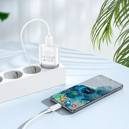 Сетевое зарядное устройство, 1 USB 3.0A 18W (C109A), HOCO, Micro, белый