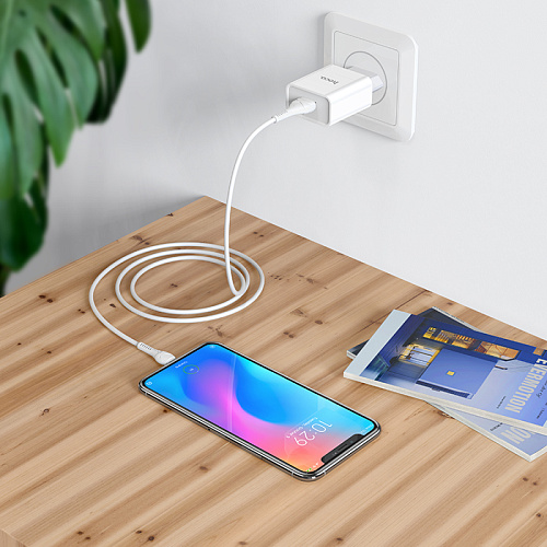 Сетевое зарядное устройство, 1 USB 2.1A (C81A), HOCO, Micro, белый