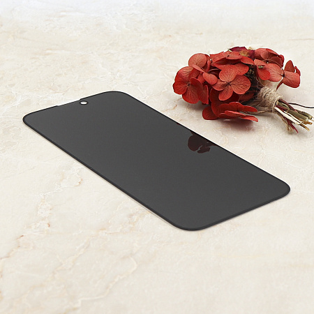 Защитное стекло на iPhone 16 Pro Max, Privacy, черное, X-CASE