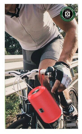 Колонка HC1 Trendy sound sports wireless speaker, HOCO, красная