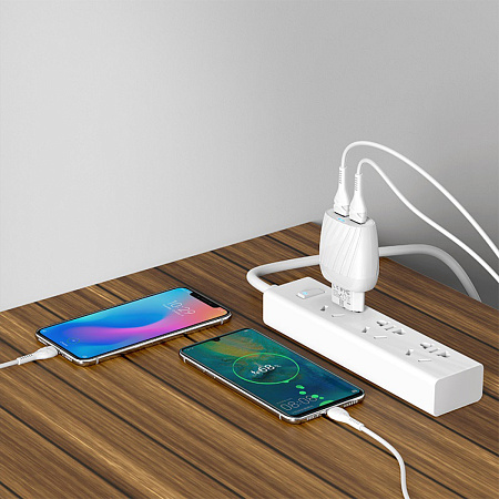 Сетевое зарядное устройство, 2 USB 2.4A (C78A), HOCO, Type-C, белый