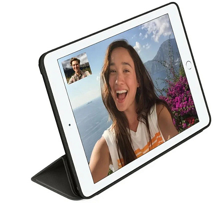 Чехол-книжка для iPad Mini 6, Smart Case, без лого, черный