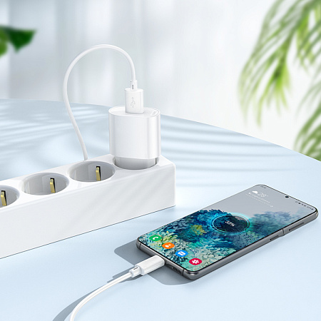 Сетевое зарядное устройство, 1 USB 10.5W (C109A), HOCO, Micro, белый