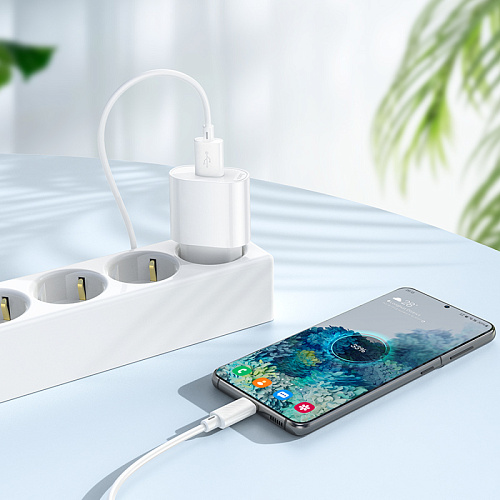 Сетевое зарядное устройство, 1 USB 10.5W (C109A), HOCO, Micro, белый