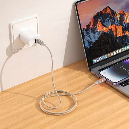 Кабель Lightning to Type-C (PD), HOCO, U144, 1.2м, PD 27W, золотистый