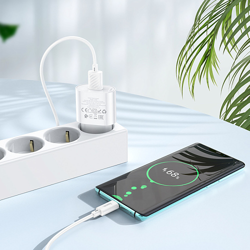 Сетевое зарядное устройство, 1 USB 3.0A 18W (C109A), HOCO, Type-C, белый