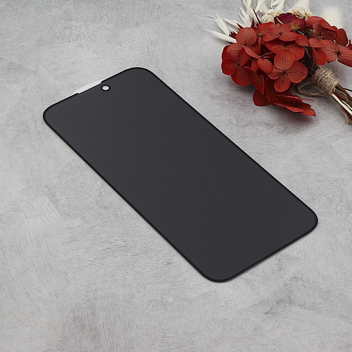 Защитное стекло на iPhone 16 Pro/17, Privacy, черное, X-CASE