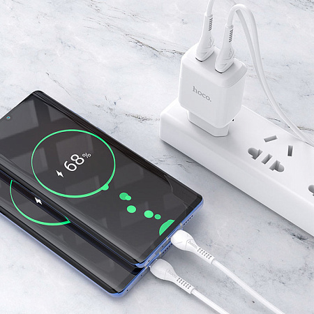Сетевое зарядное устройство, 2 USB 2.1A 10.5W (N7), HOCO, Type-C, Умная зарядка, белый