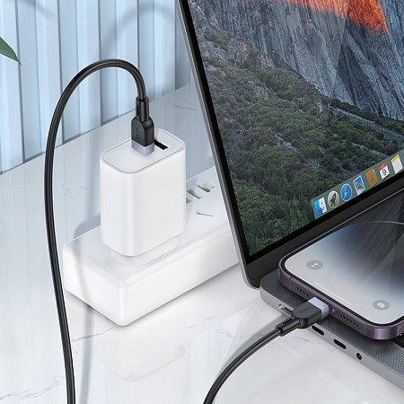 Кабель Lightning to Type-C (PD), HOCO, X109, 2м, силиконовый, черный