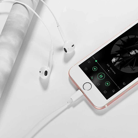 Проводные наушники M80 Type-C  Original series earphones, HOCO, белые