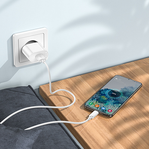 Сетевое зарядное устройство, 1 USB 3.0A 18W (C109A), HOCO, Micro, белый