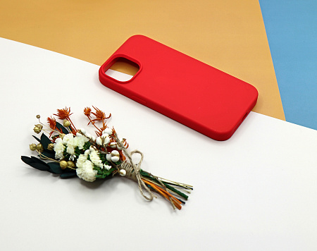 Чехол - накладка для iPhone 13 Mini, Silicon Case, без лого, красный