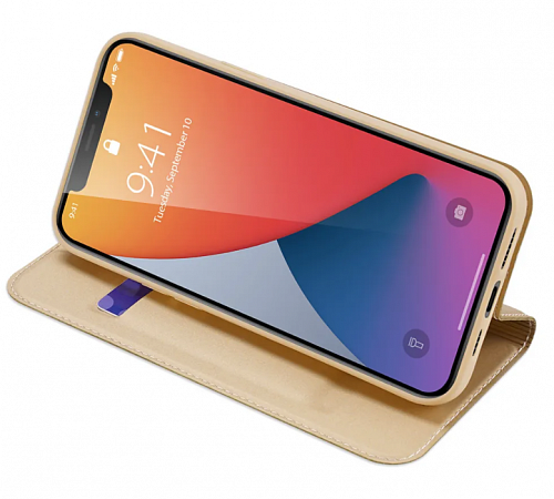 Чехол-книжка для iPhone 12/12 Pro (6.1), DU DU, боковой, золотой