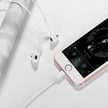 Проводные наушники M80, Lightning Original series earphones, HOCO, с микрофоном, белые