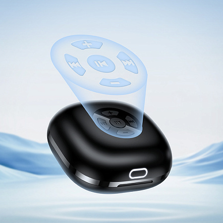 Беспроводные наушники EW204, HOCO, капельки, с дистанционным управлением, черный