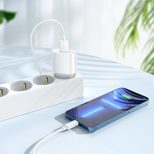 Сетевое зарядное устройство, 1 USB 10.5W (C109A), HOCO, Lightning, белый
