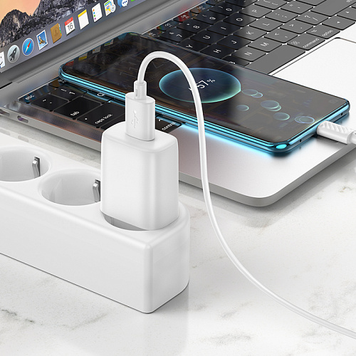 Сетевое зарядное устройство, 1 USB 2.4A (C134A), HOCO, Type-C, белый